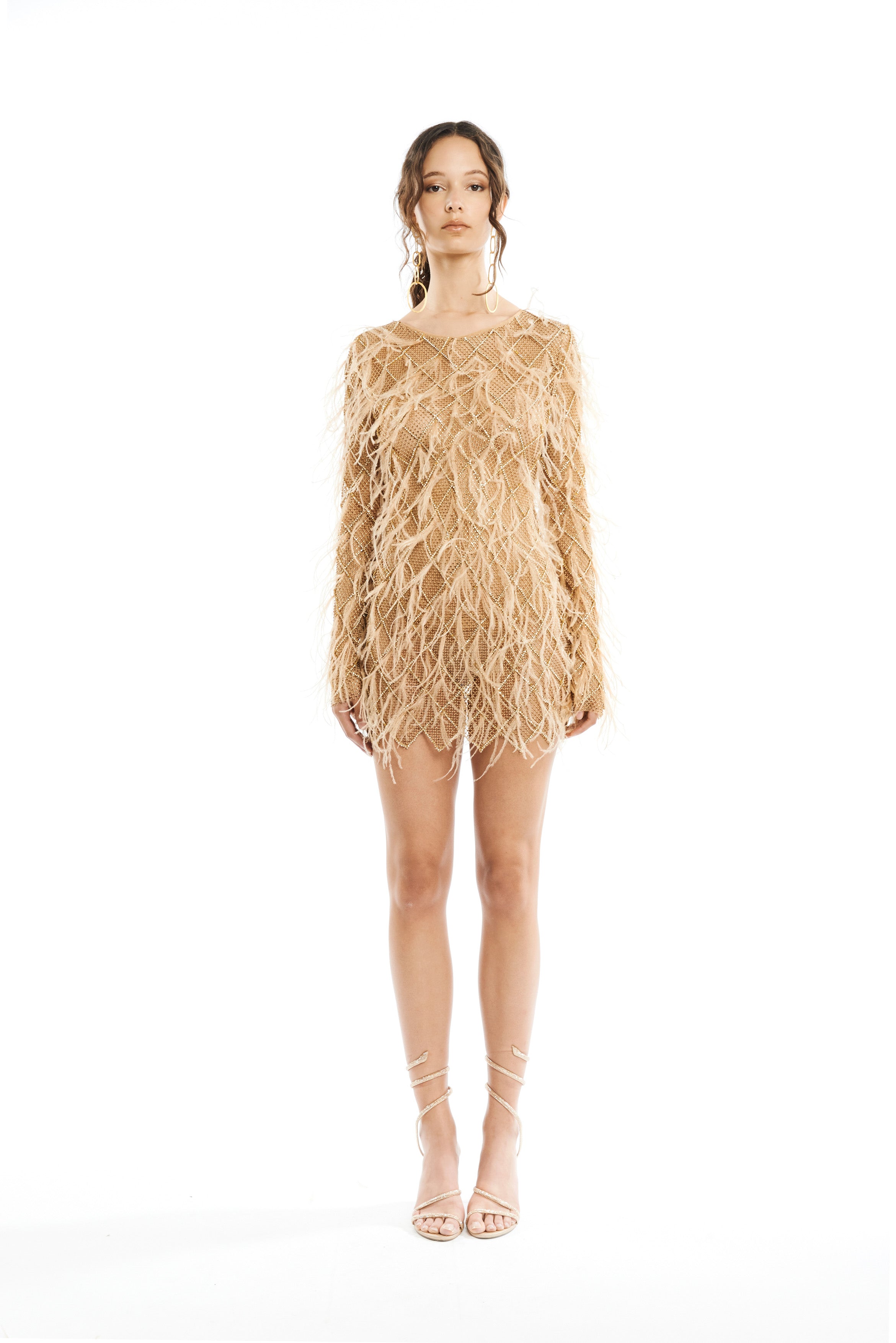 #color_beige crystal mesh - beige feathers