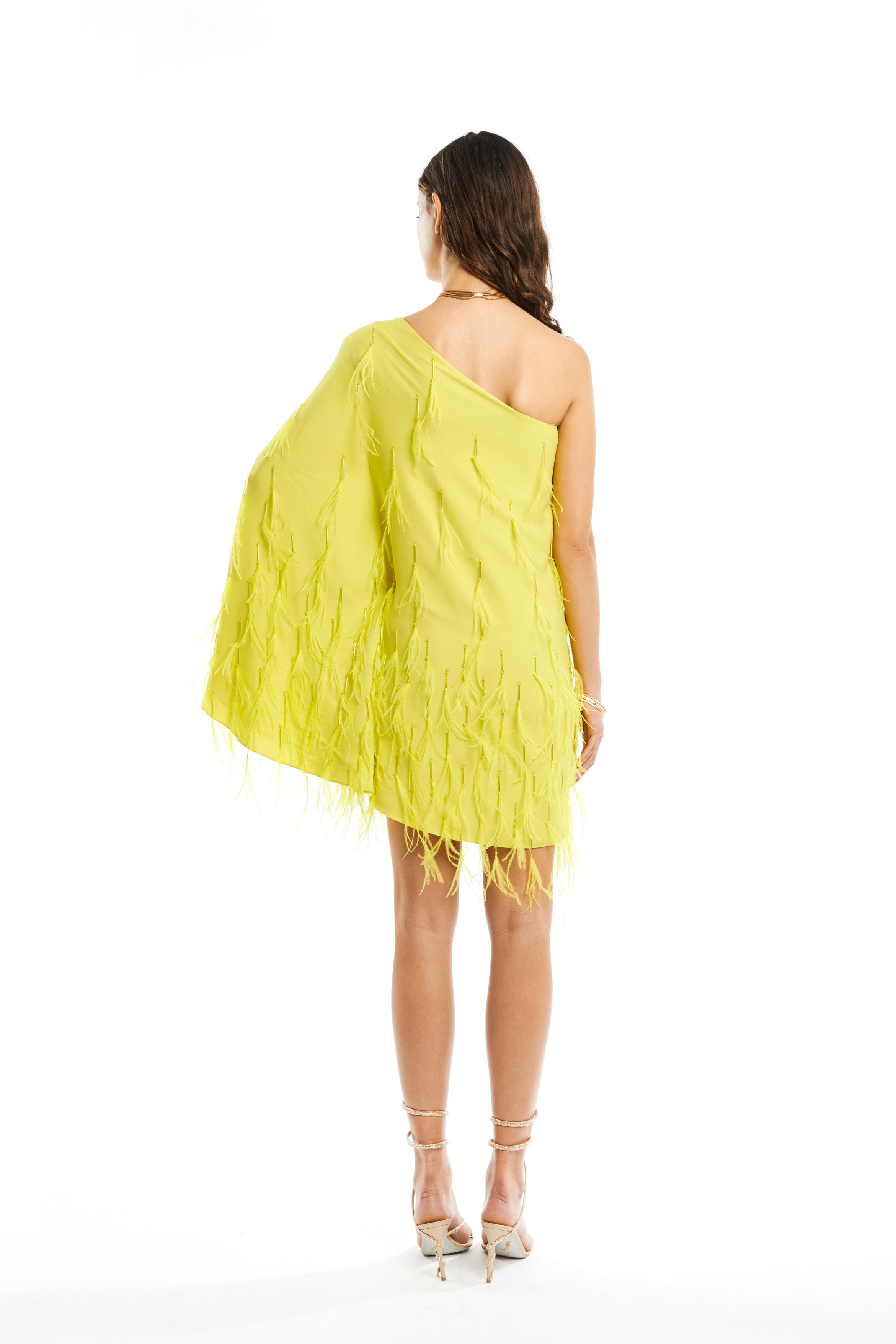 #color_acid yellow cady - acid yellow nalki and feathers