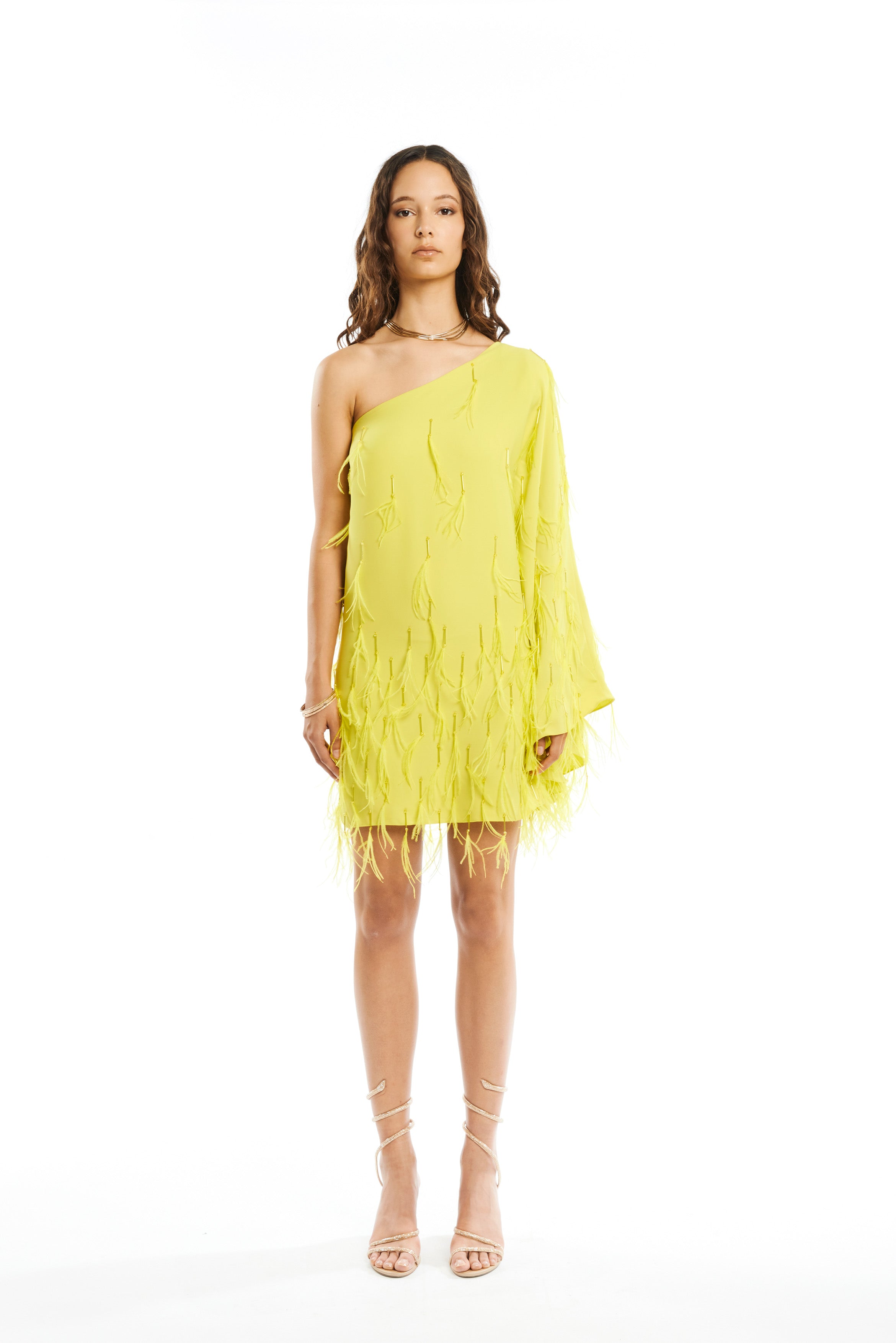 #color_acid yellow cady - acid yellow nalki and feathers