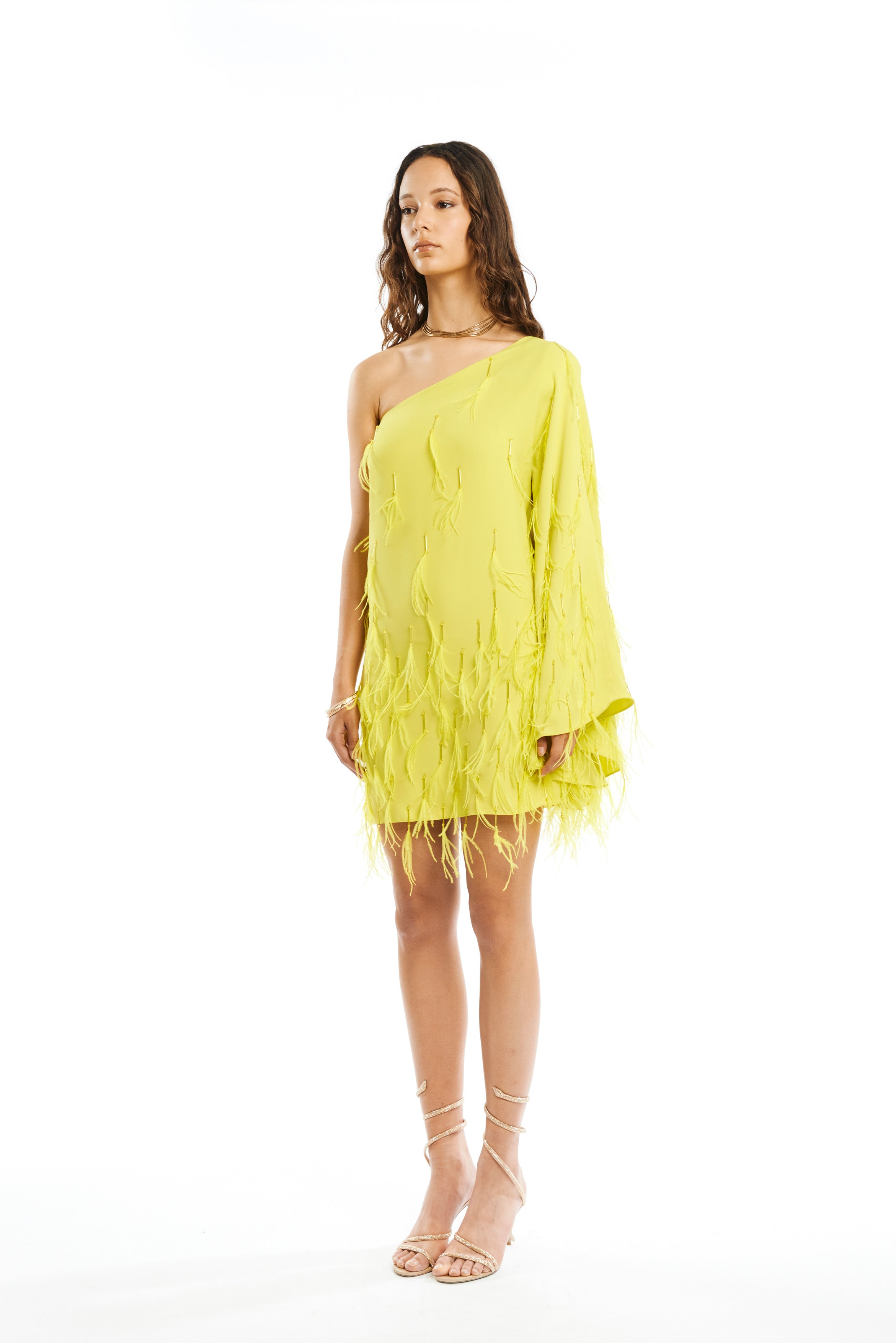 #color_acid yellow cady - acid yellow nalki and feathers