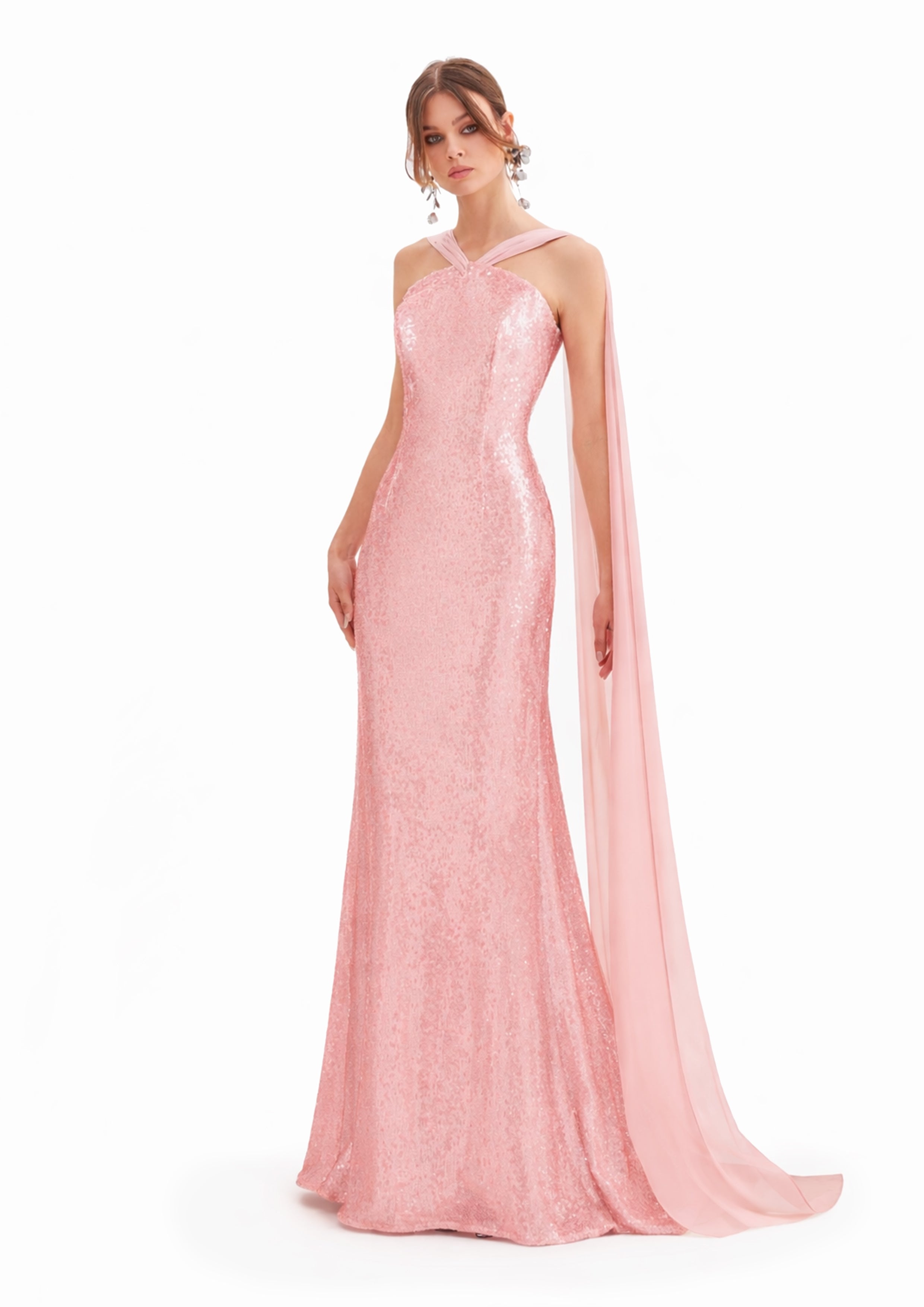 EMBELLISHED GOWN WITH IVORY CAPE SLEEVES