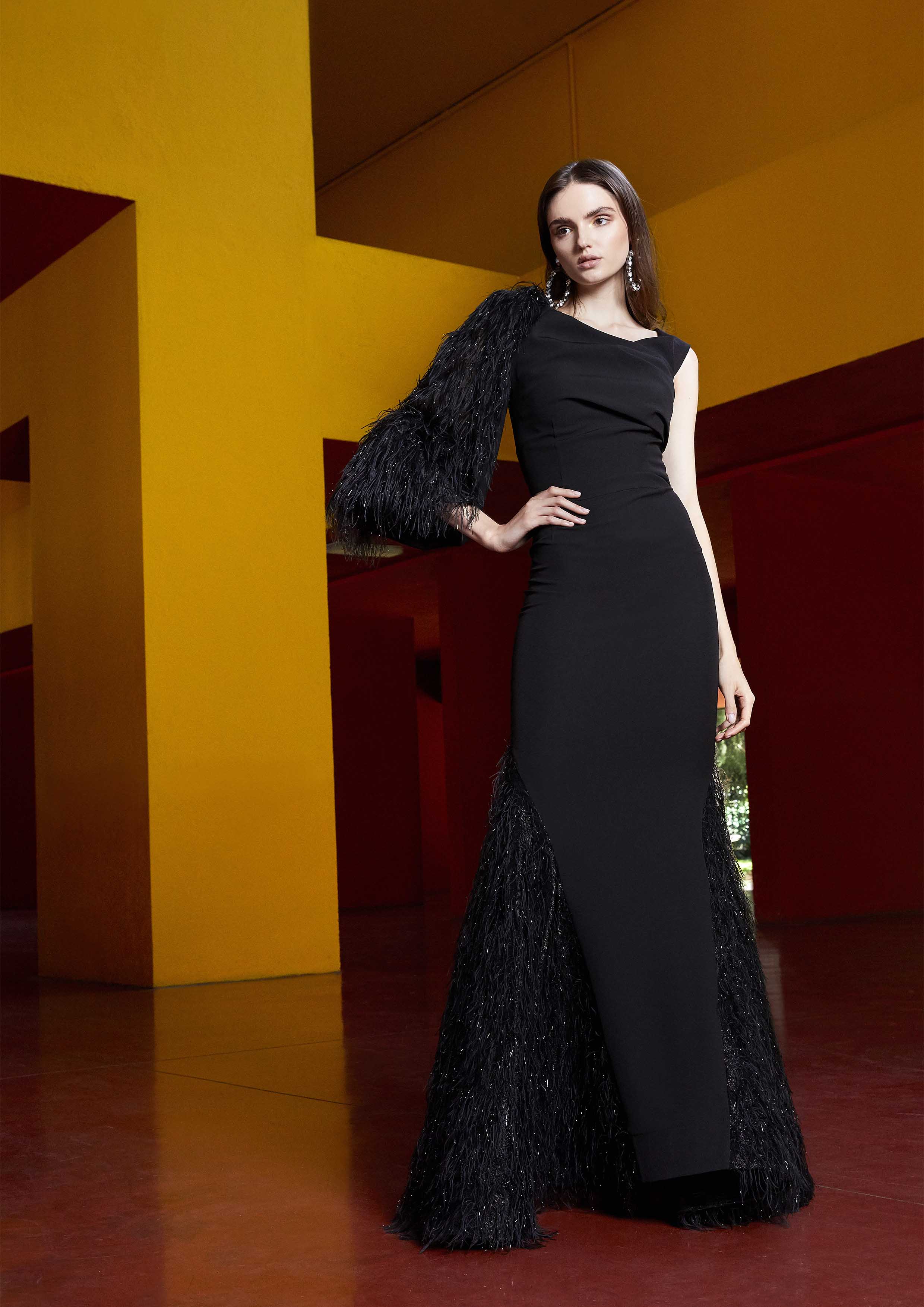 SILHOUETTE DRESS WITH A FEATHERS ARMS