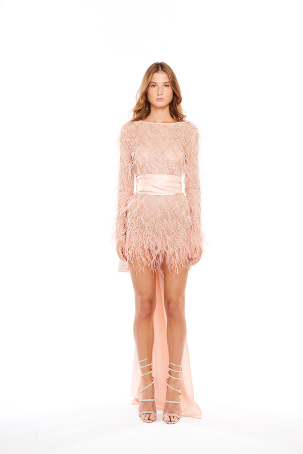 CRYSTAL FEATHERS MINI DRESS WITH SLEEVES