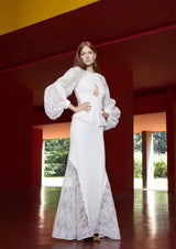 EMBROIDDERED ORGANZA SILHOUTTE DRESS
